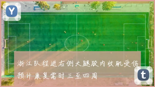 浙江队程进右侧大腿股内收肌受伤预计康复需时三至四周
