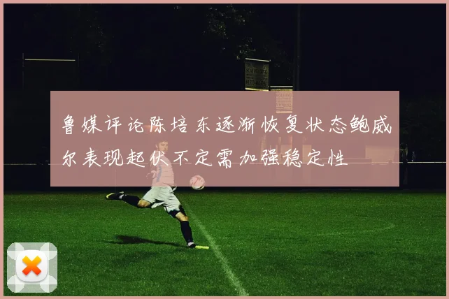 鲁媒评论陈培东逐渐恢复状态鲍威尔表现起伏不定需加强稳定性