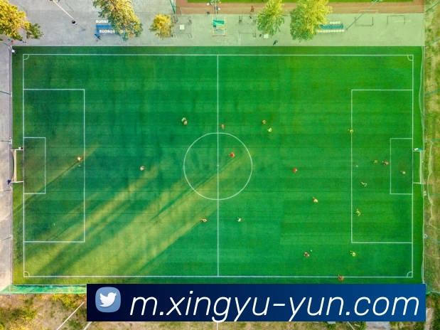 全球热力图